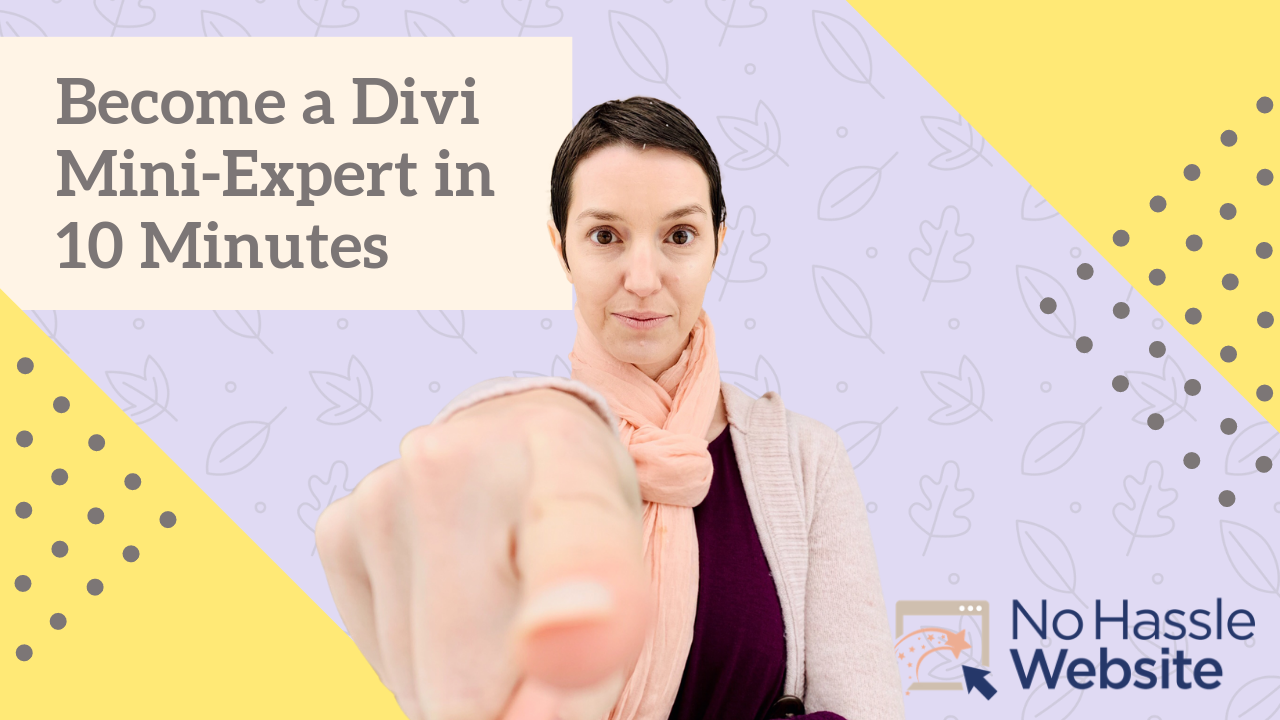 No Hassle Tutorials: Become a Divi Mini-Expert in 10 minutes